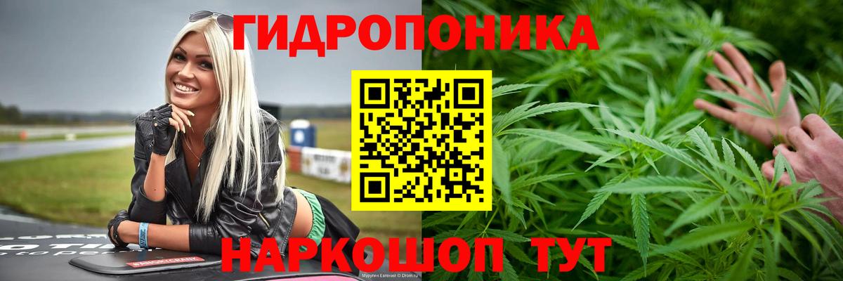 Ухта  МАРИХУАНА план  Вход с VPN  Марихуана индика 